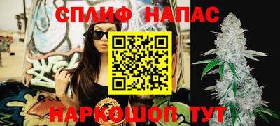 индика Изобильный
