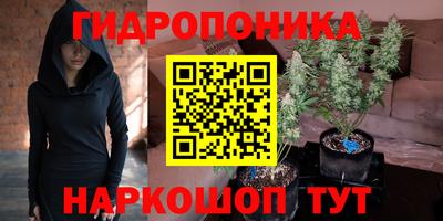 индика Изобильный