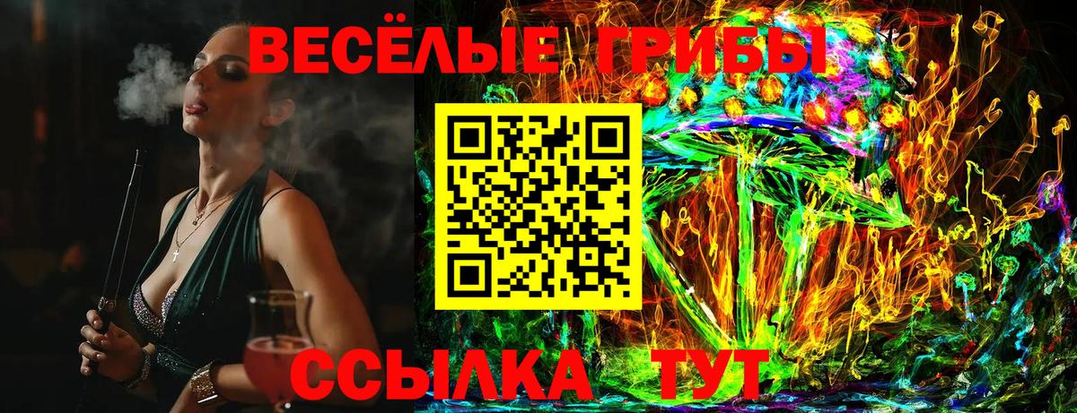 Ярославль  Галлюциногенные грибы ЛСД  наркошоп  Вход с VPN 