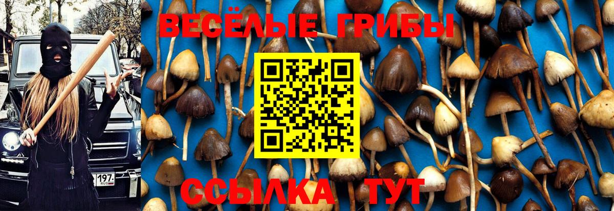 Галлюциногенные грибы прущие грибы Ярославль